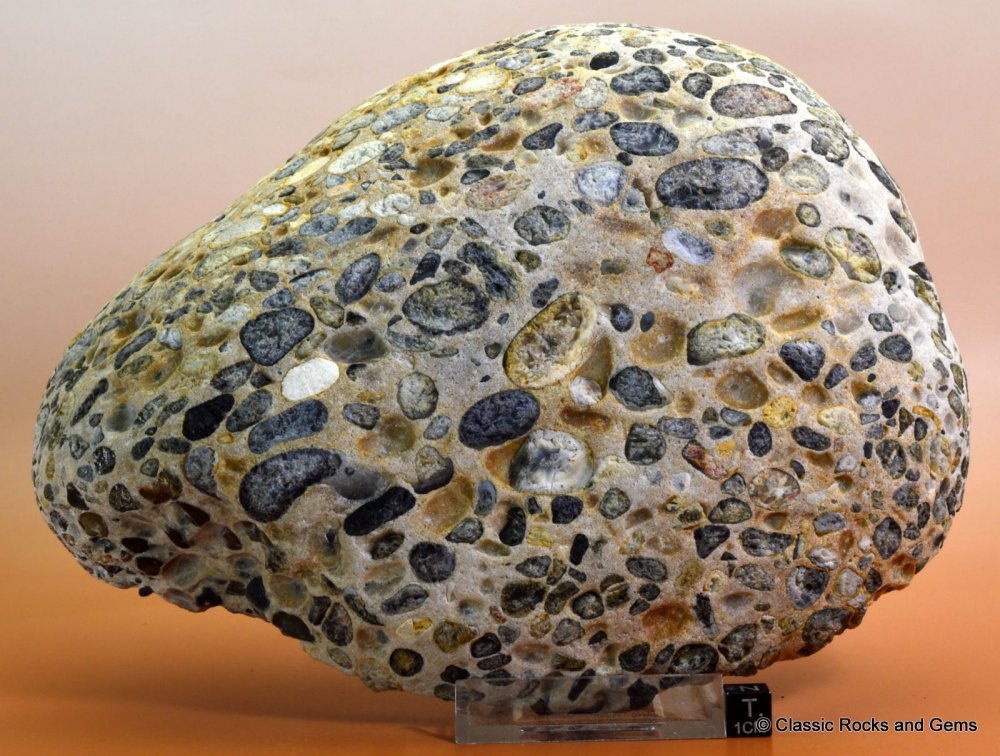 Pudding Stone Conglomerate XL Polished end piece 22 cm 3.71Kg Normandy