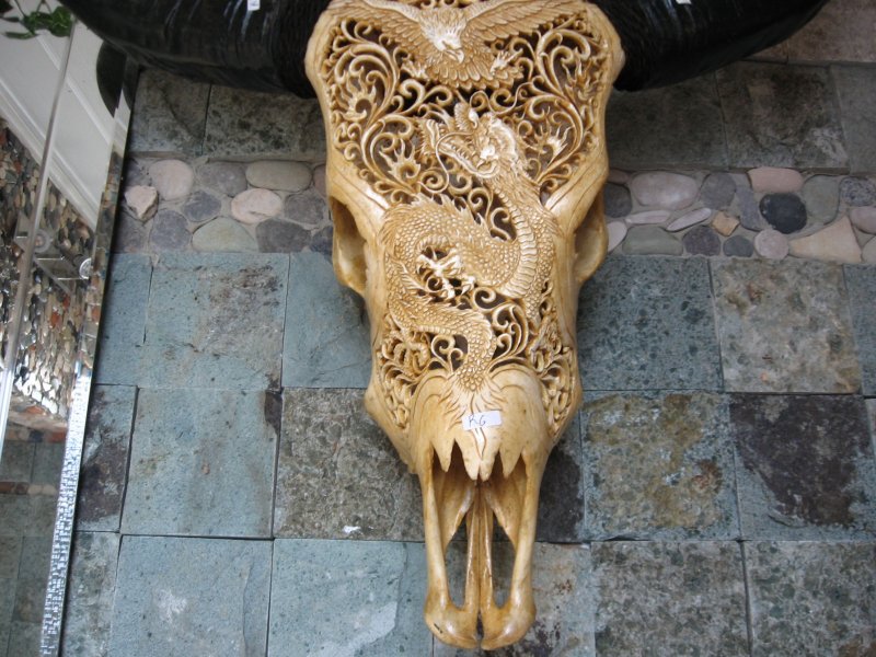 Büffelschädel - Stierkopf - Longhorn - Drachen-Adler Little Big Horn