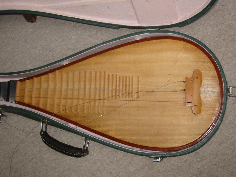 Interesting, Asian stringed instrument Lute, prim, tambura? made in the ...