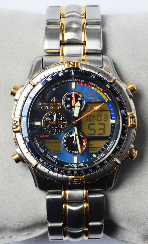 citizen promaster world time