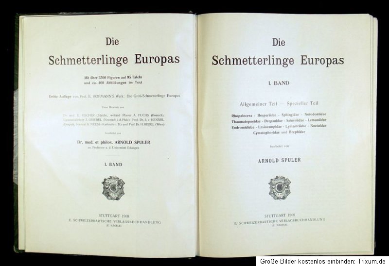 1908 10 Schmetterlinge 95 Chromolithos Europas Butterflies Lepidoptera