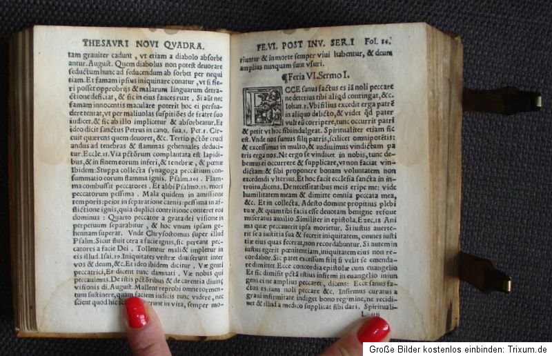 1541 Schweinsleder Schließen Druckermarke Festina lente Thesaurus