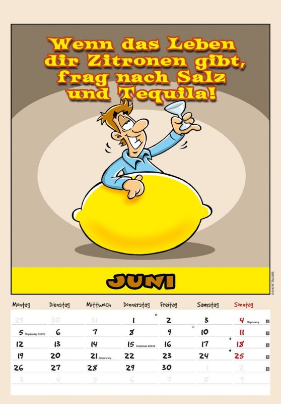 50+ Sprueche fuer kalender monate , Coole Sprüche 2017 Kalender Wandkalender mit lustige Comics Witze Karikaturen eBay