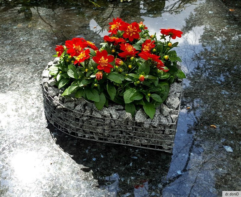 HERZ HERZGITTER 35x35x6 /& Kies GRABGESTALTUNG GRABSCHMUCK GRABSCHALE GRABHERZ
