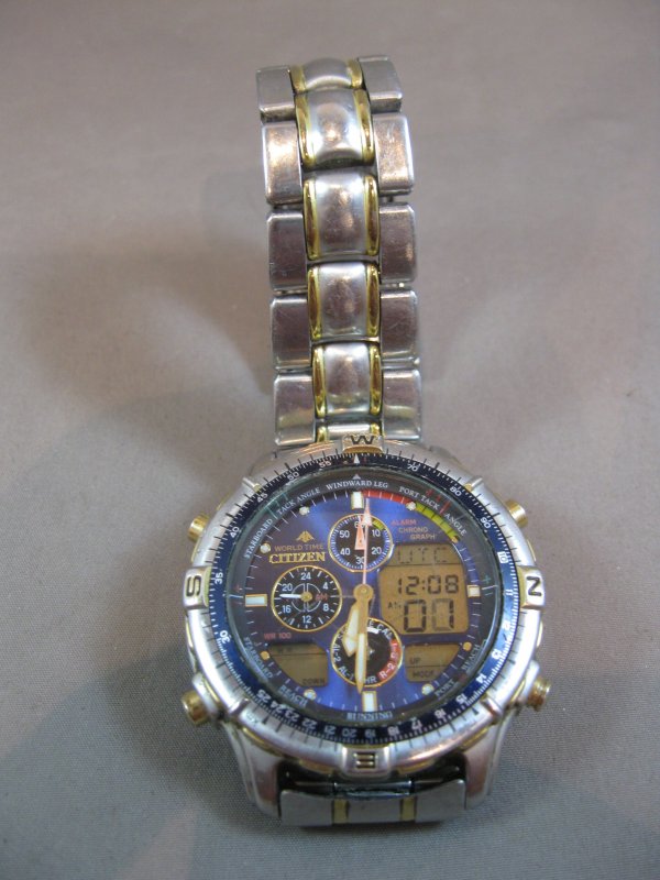 citizen promaster world time chronograph