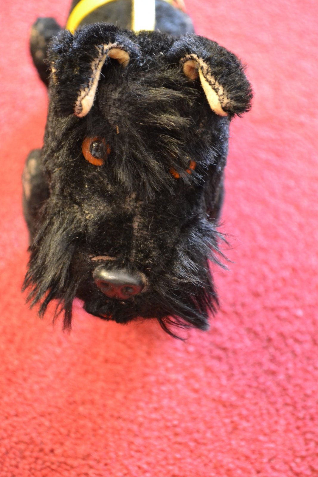 steiff scottie dog