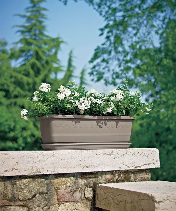 Blumenkasten mit Untersetzer 50 cm in taupe grau Blumentopf Blumenkübel