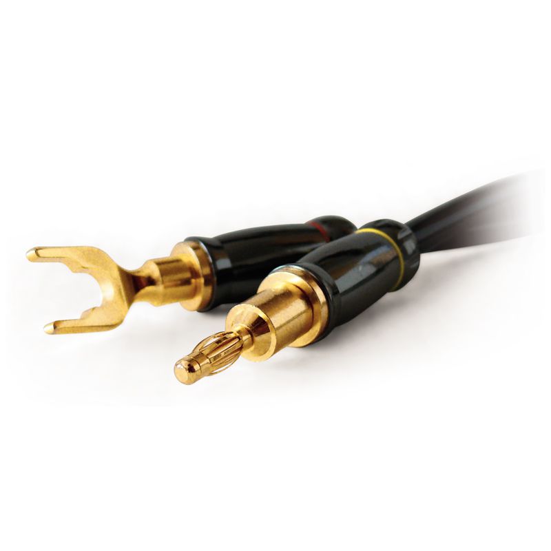 Câble Haut-Parleur Pronomic Stage 10 M - Jack 6,3 Mm Vers Speakon - Qualité Pro