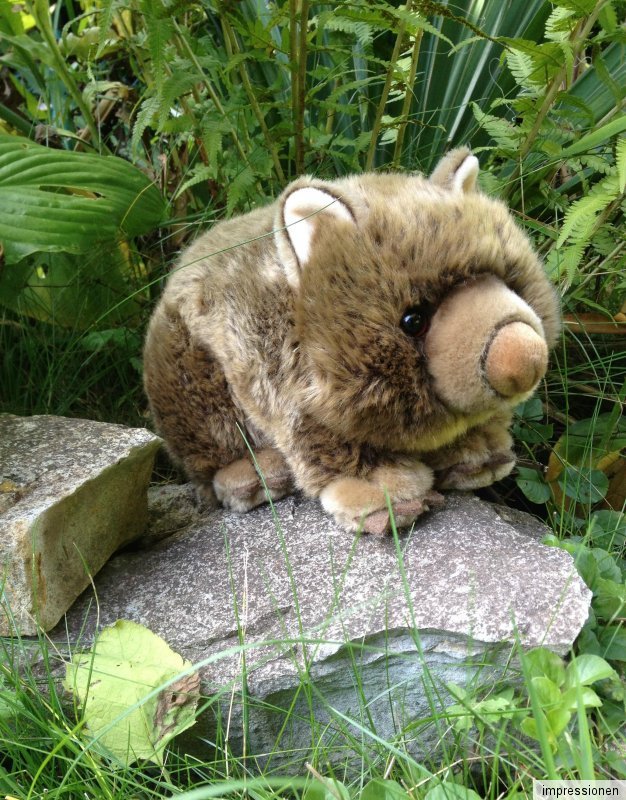 stuffed wombat