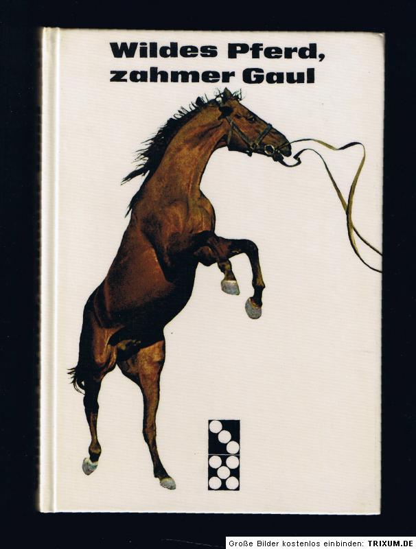 WILDES PFERD   ZAHMER GAUL ♥ஜ♥ DOMINO Jugend Buch