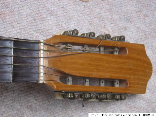   Italian mandola ? Fernando del Perugia / Schmidl 1898 big mandolin